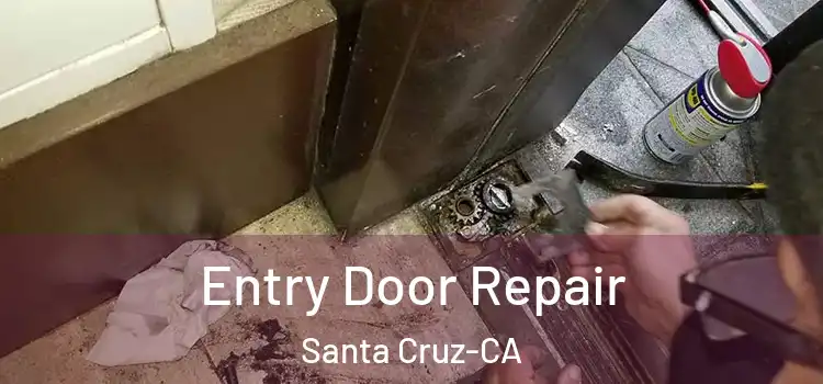  Entry Door Repair Santa Cruz-CA