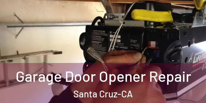  Garage Door Opener Repair Santa Cruz-CA