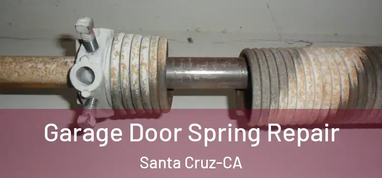  Garage Door Spring Repair Santa Cruz-CA