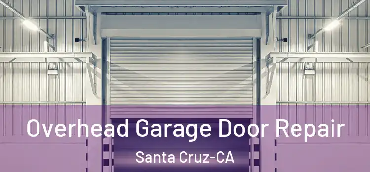 Overhead Garage Door Repair Santa Cruz-CA