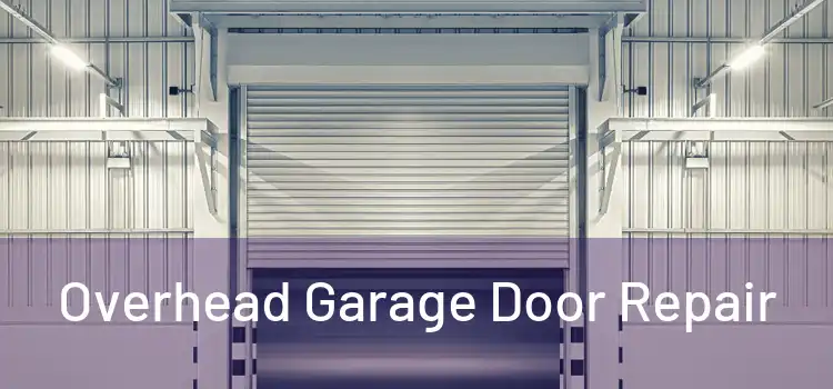 Overhead Garage Door Repair 