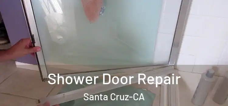  Shower Door Repair Santa Cruz-CA